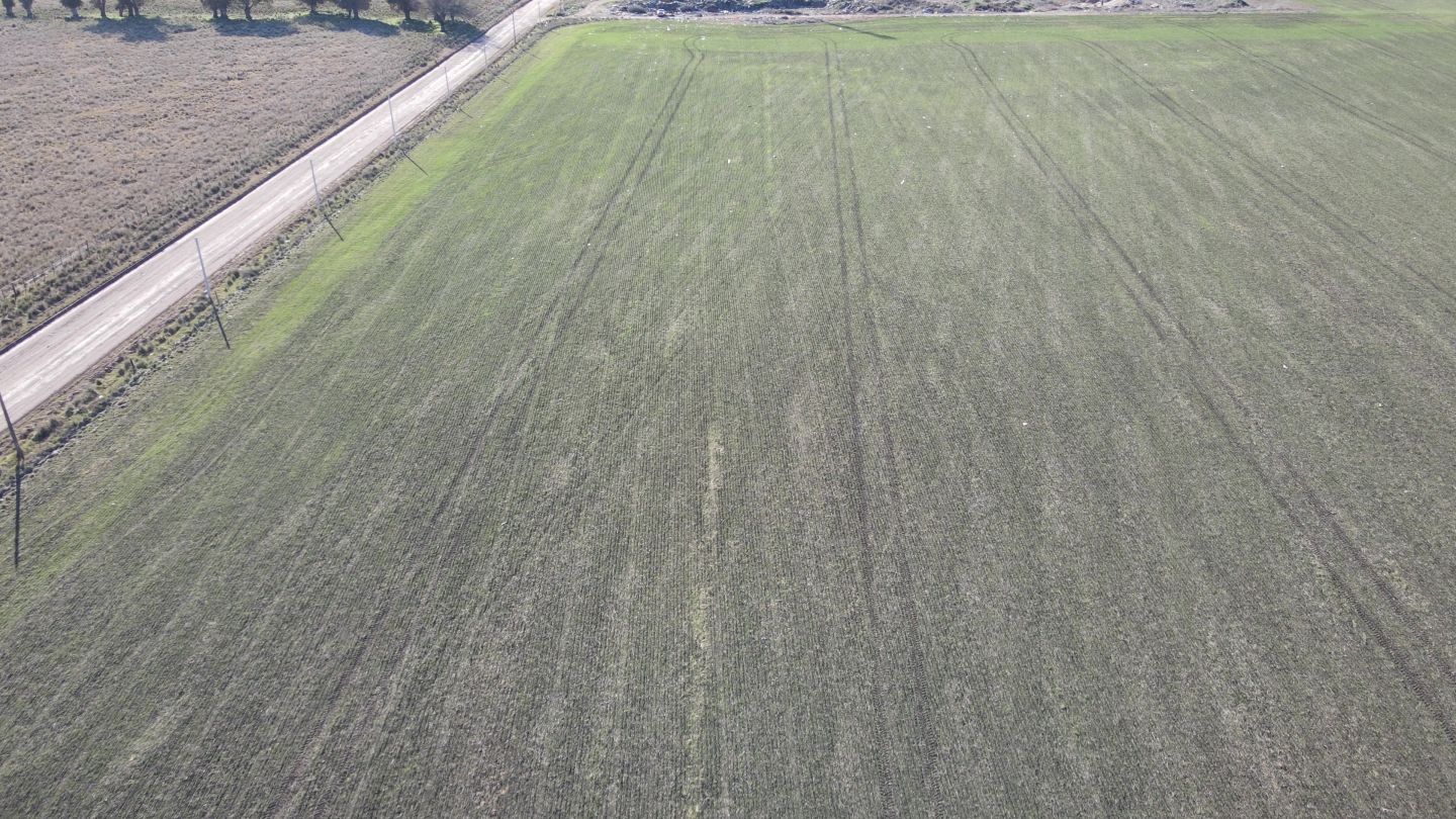 Campo EN VENTA