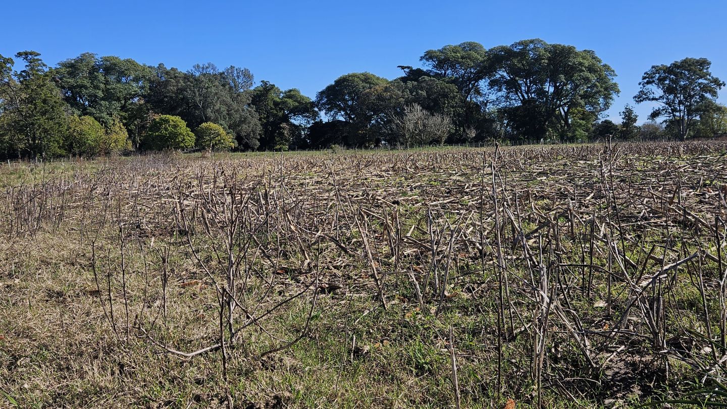 Campo EN VENTA