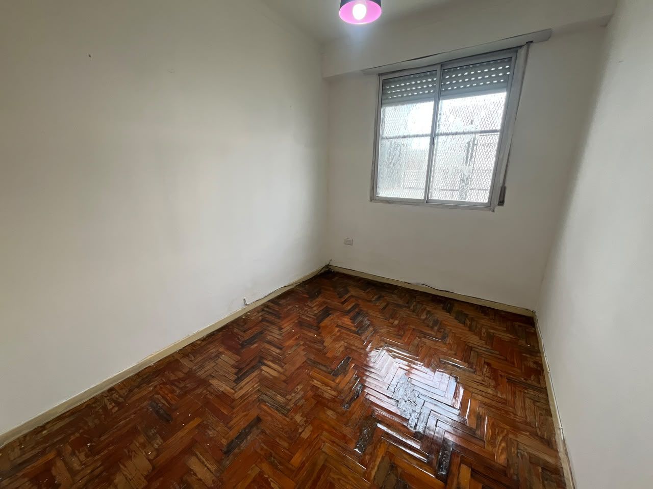 Imagen 20