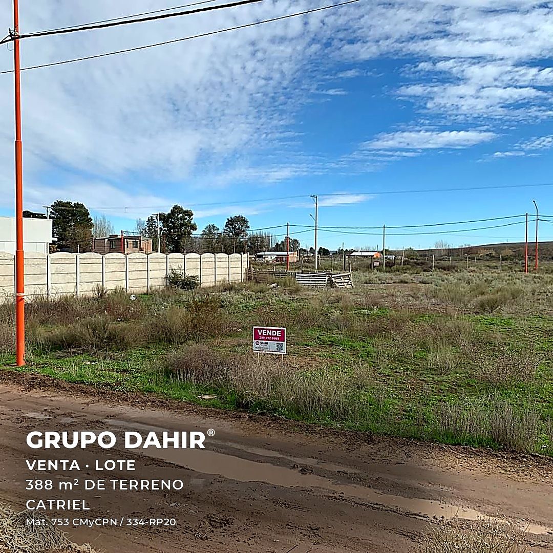 Lote Desarrollo en Catriel — foto 1