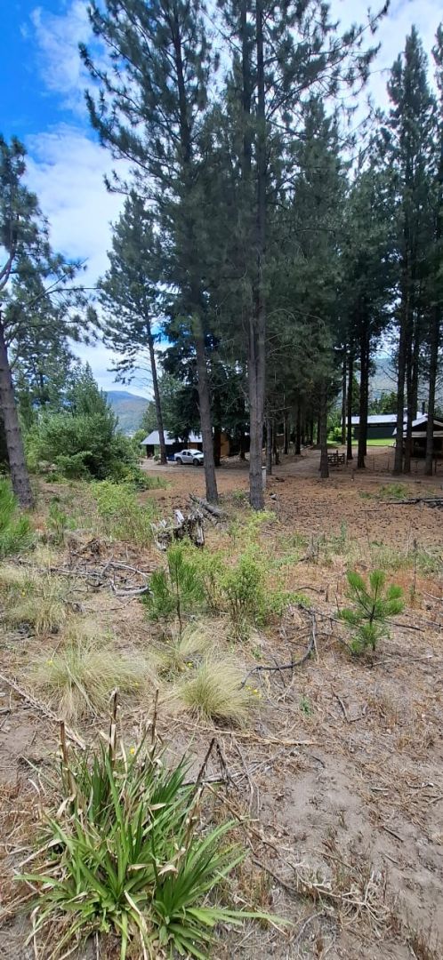 Lote en Venta en Lacar, Neuquen