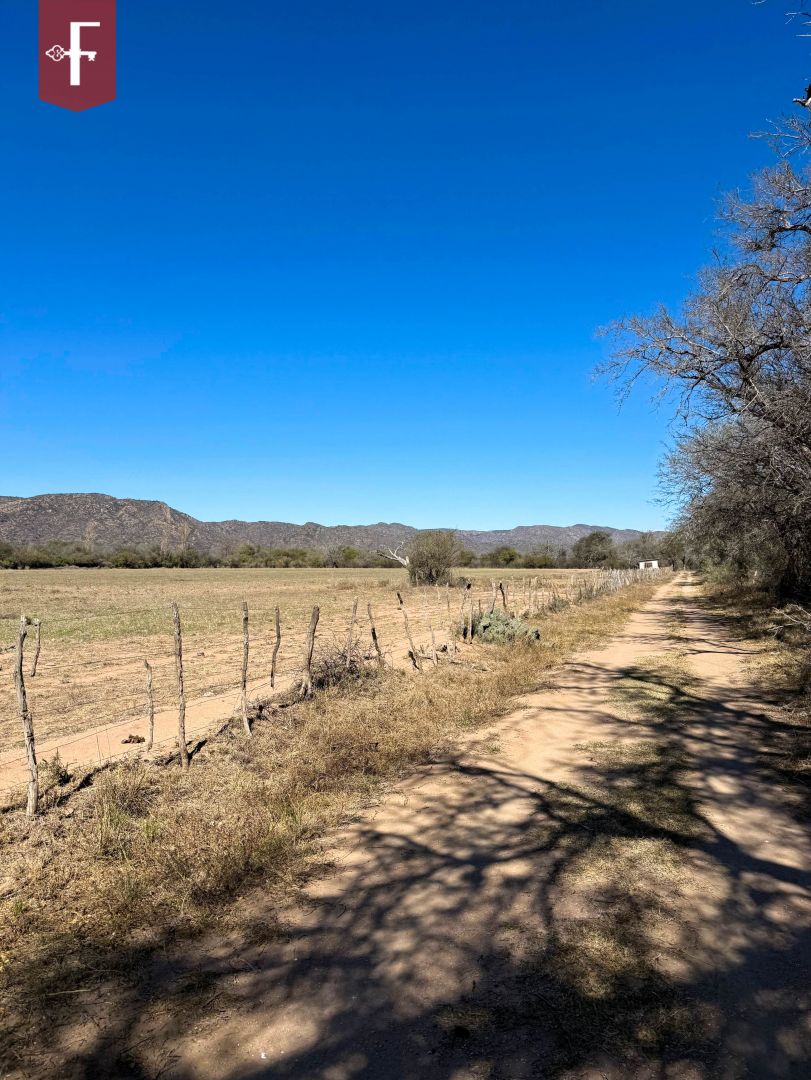 Campo en RUTA 20