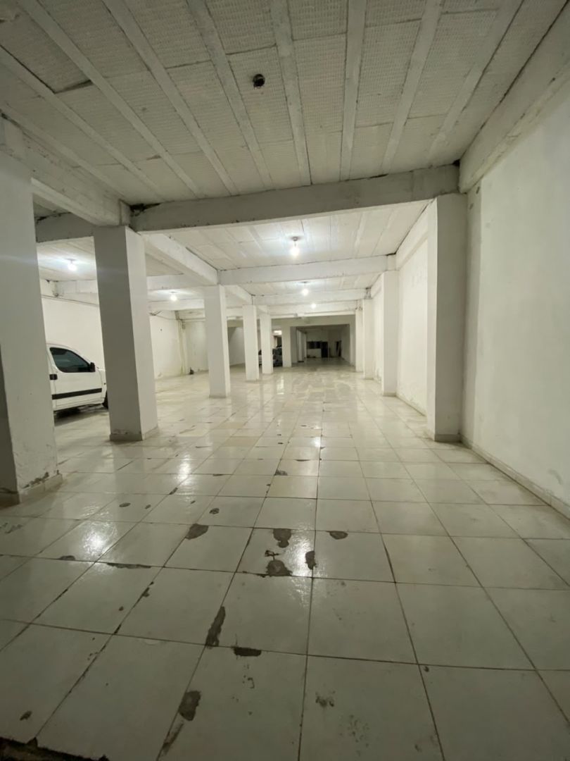 Imagen 15