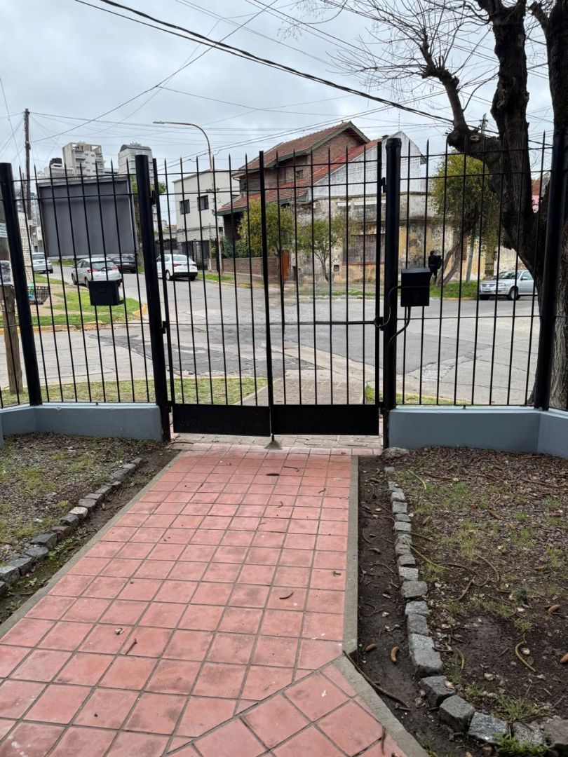 Imagen 5