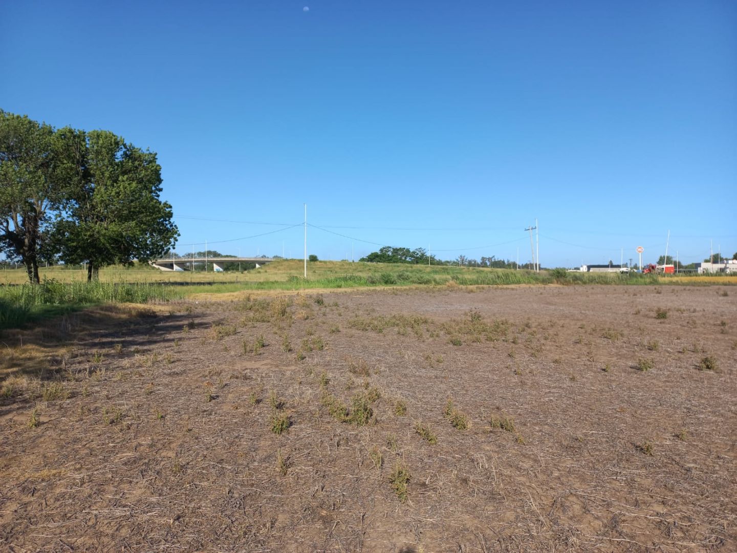 Campo en Venta en Zarate, G.B.A. Zona Norte