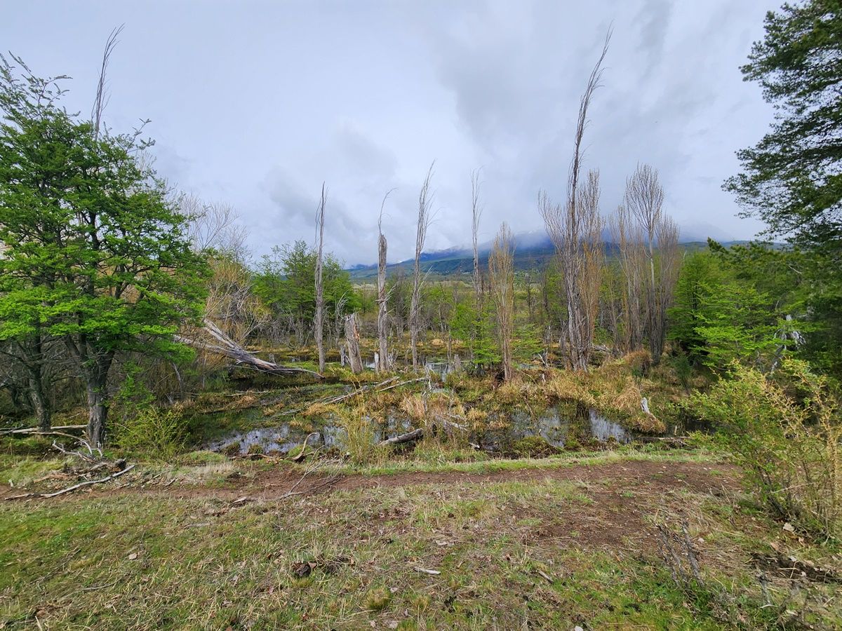 Campo EN VENTA