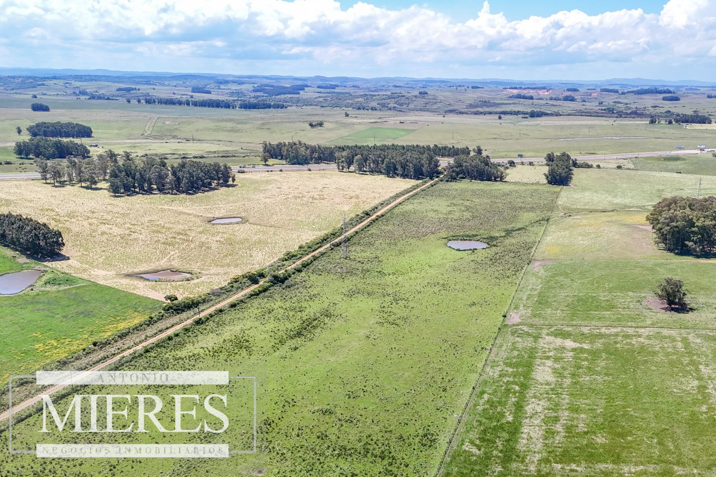 Campo EN VENTA