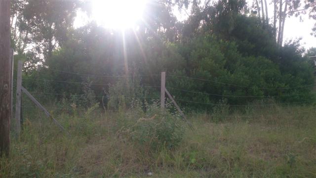 Lote EN VENTA
