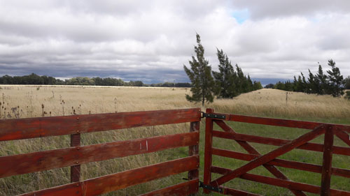 Campo EN VENTA
