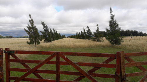 Campo EN VENTA