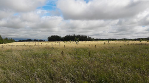 Campo EN VENTA