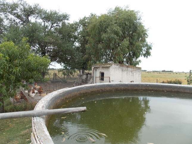 Campo EN VENTA