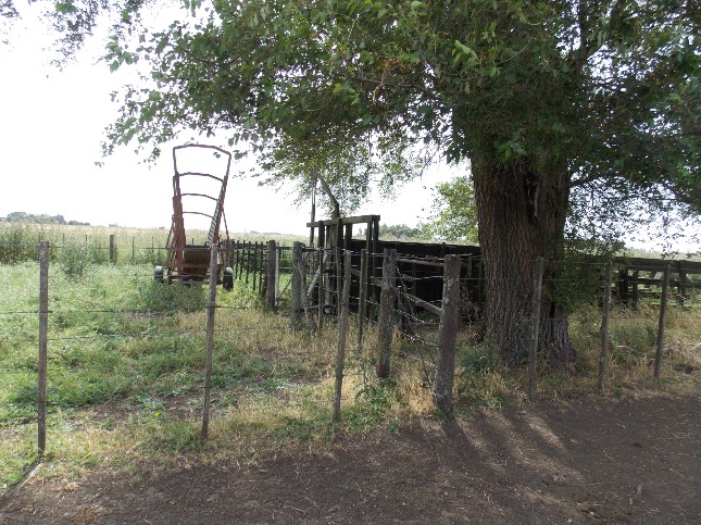 Campo EN VENTA