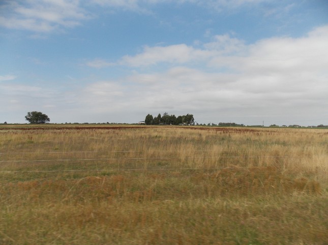 Campo EN VENTA