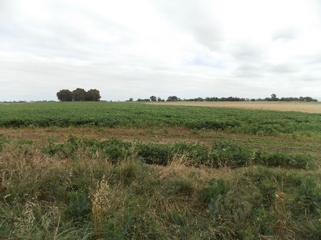 Campo EN VENTA