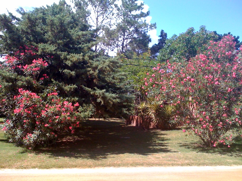 Casa EN VENTA Y ALQUILER