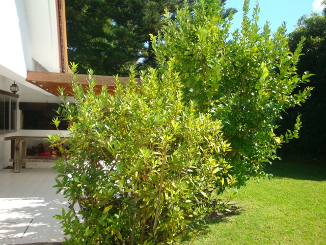Casa EN ALQUILER TEMPORARIO