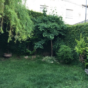 VENTA DE CASA EN Chascomús - CASCO HISTORICO - 17