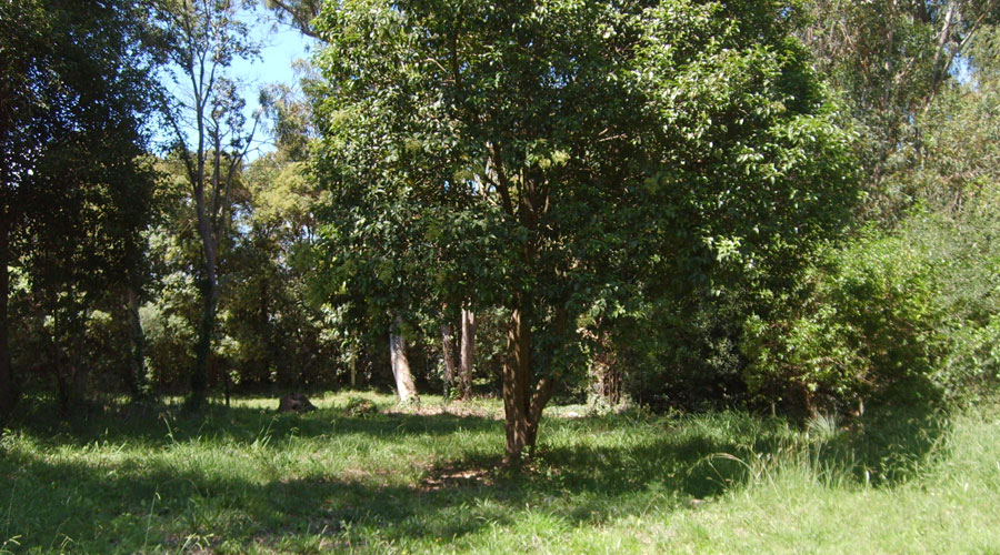 Lote EN VENTA
