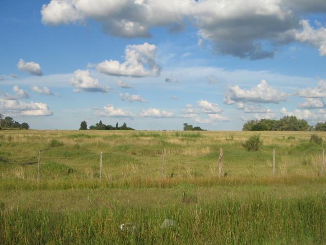 Campo EN VENTA