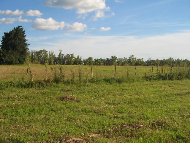 Campo EN VENTA