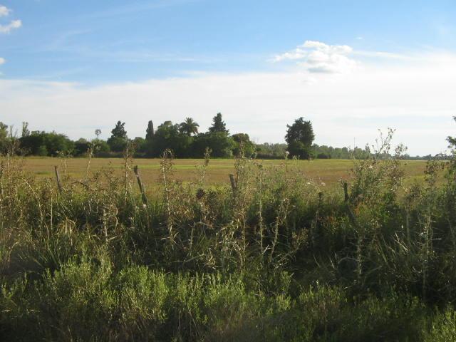 Campo EN VENTA