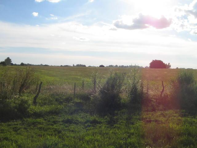 Campo EN VENTA