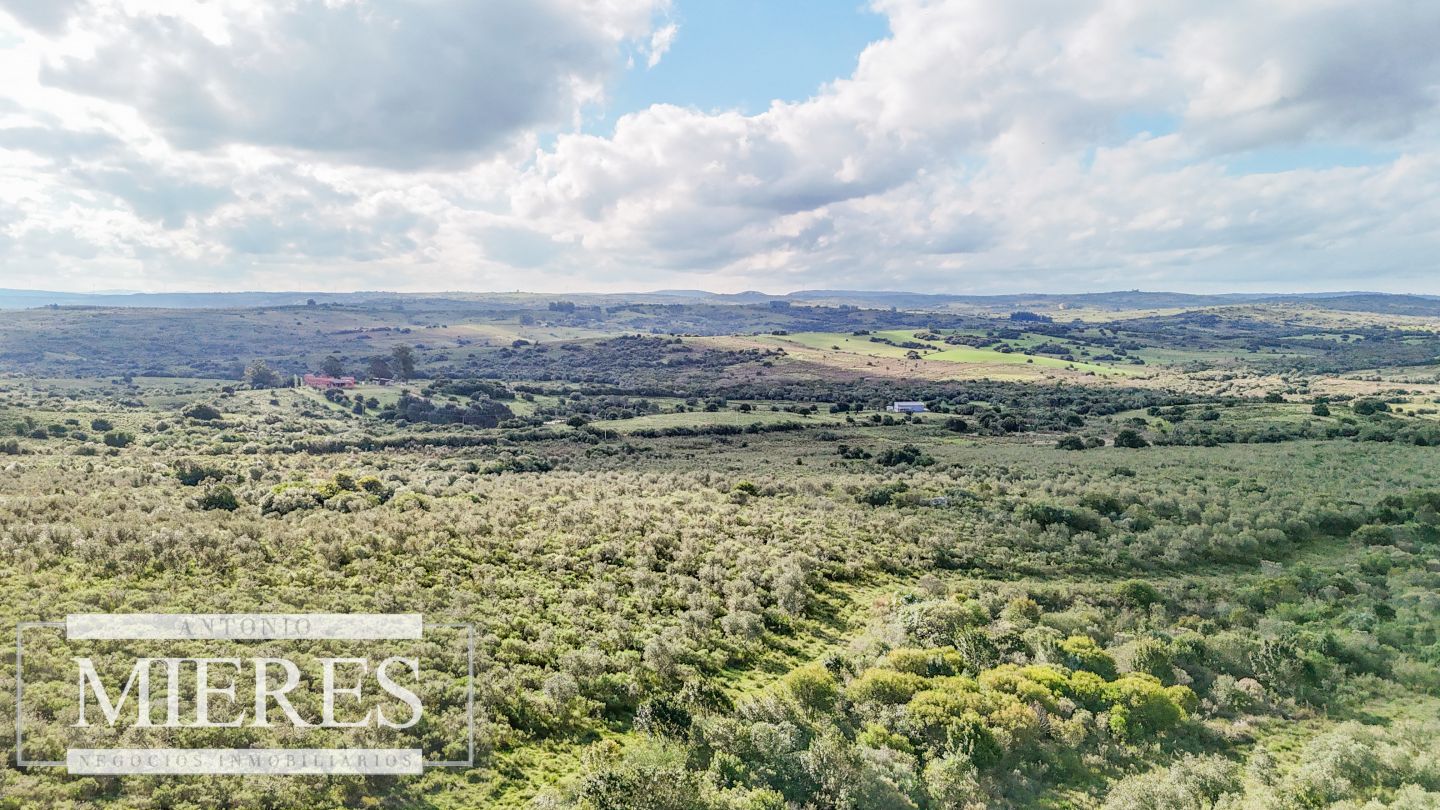 Campo EN VENTA
