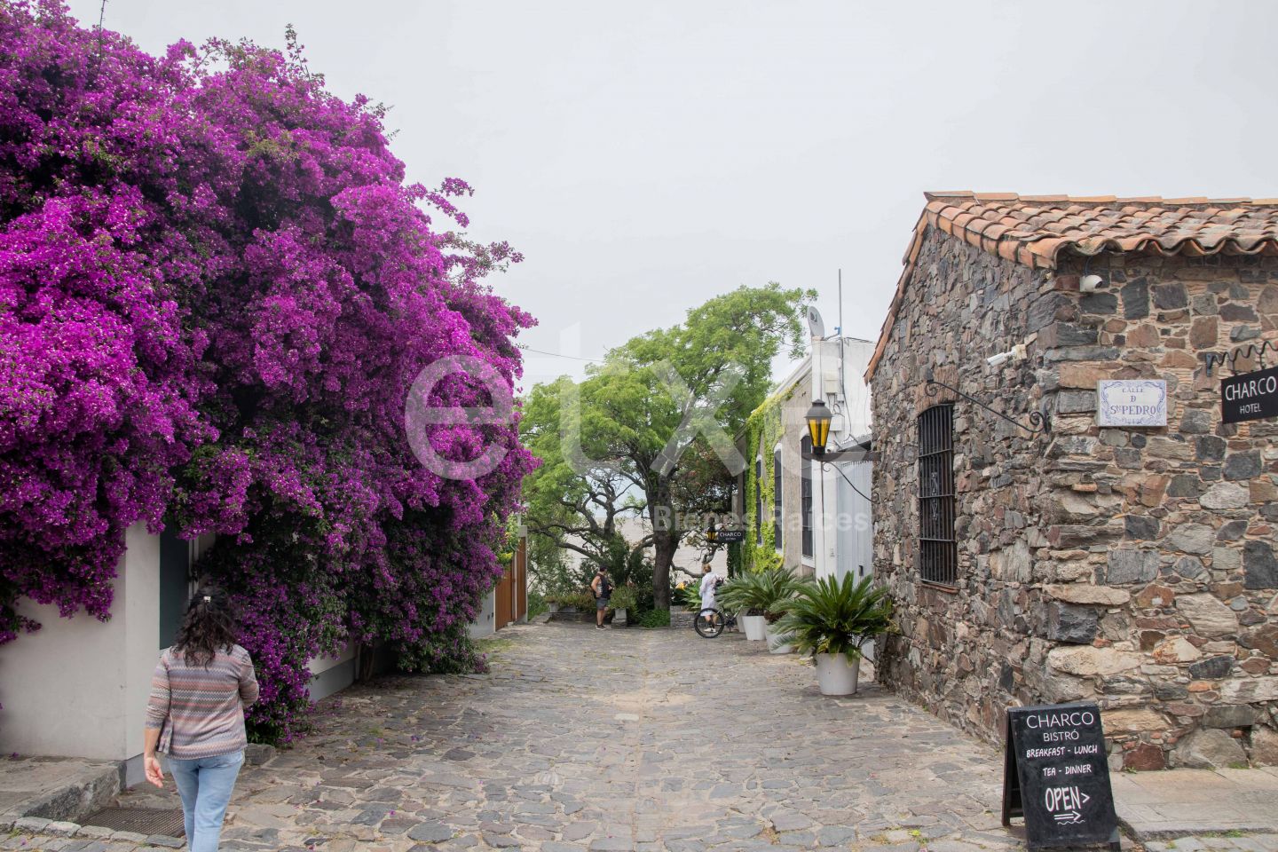 Lote EN VENTA