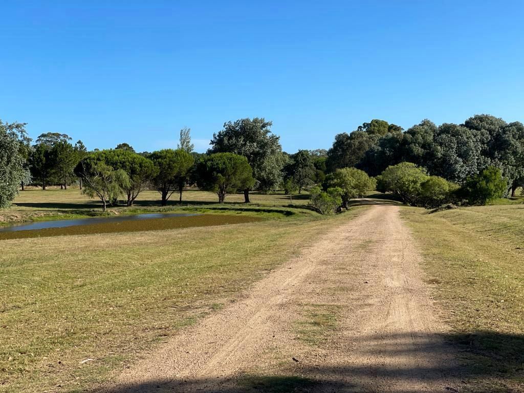 Terreno en venta Don Miguel