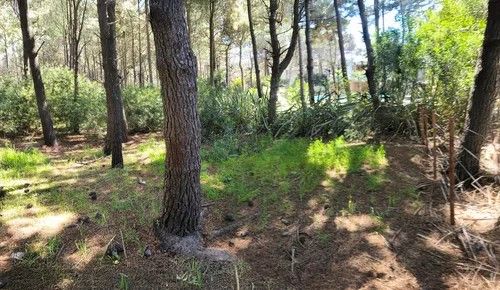 Lote en Venta en Pinamar, Buenos Aires Costa Atlantica