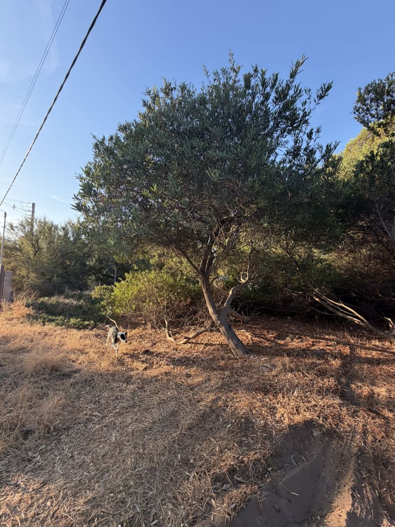 Lote EN VENTA