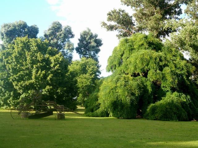 Quinta EN VENTA