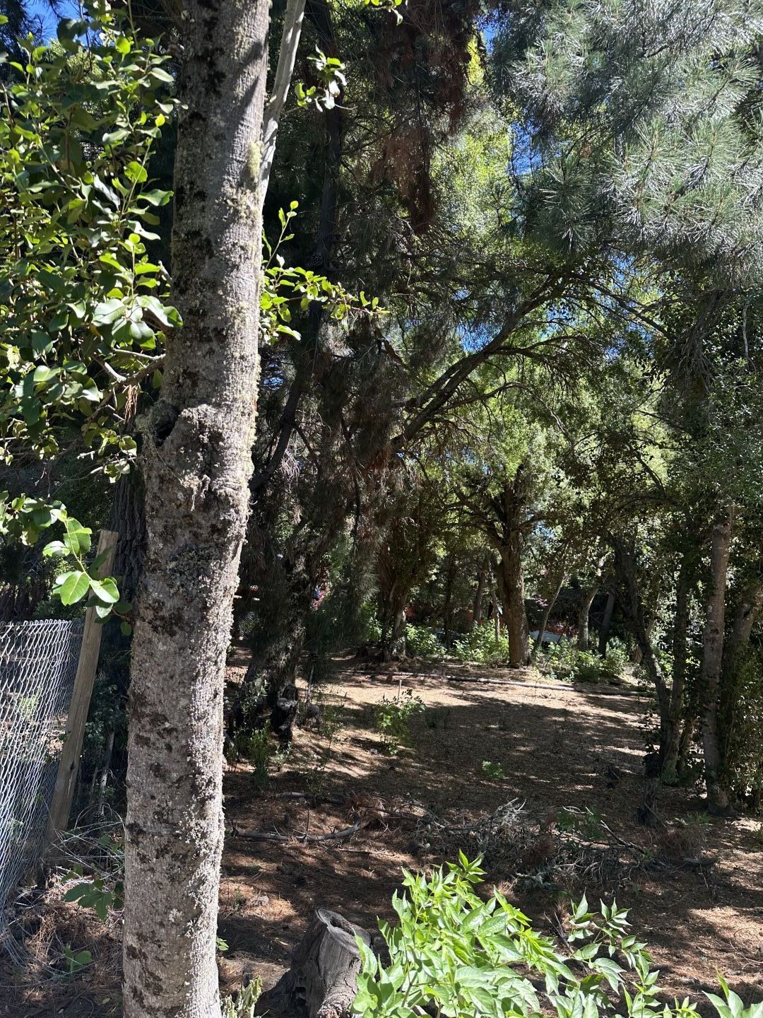 Lote EN VENTA