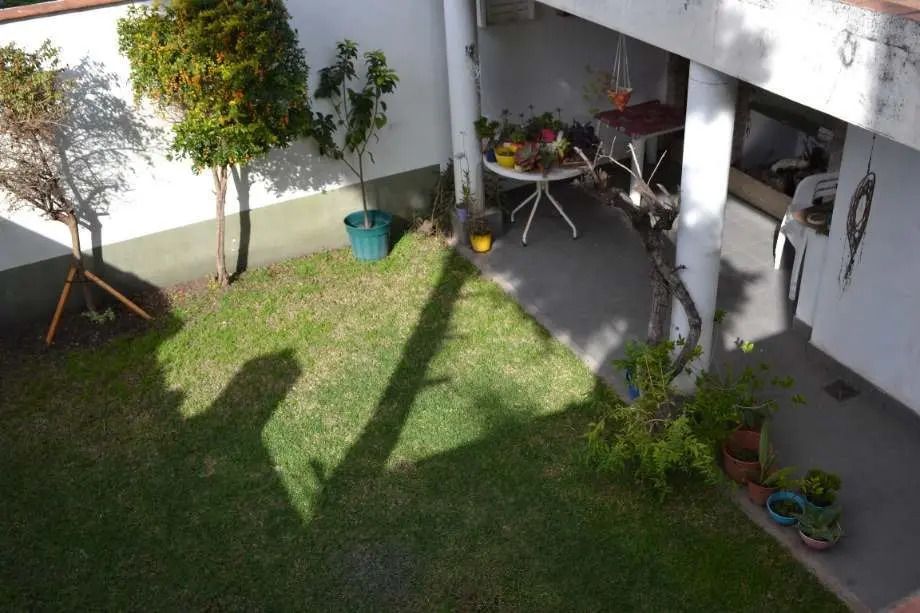 Imagen 13
