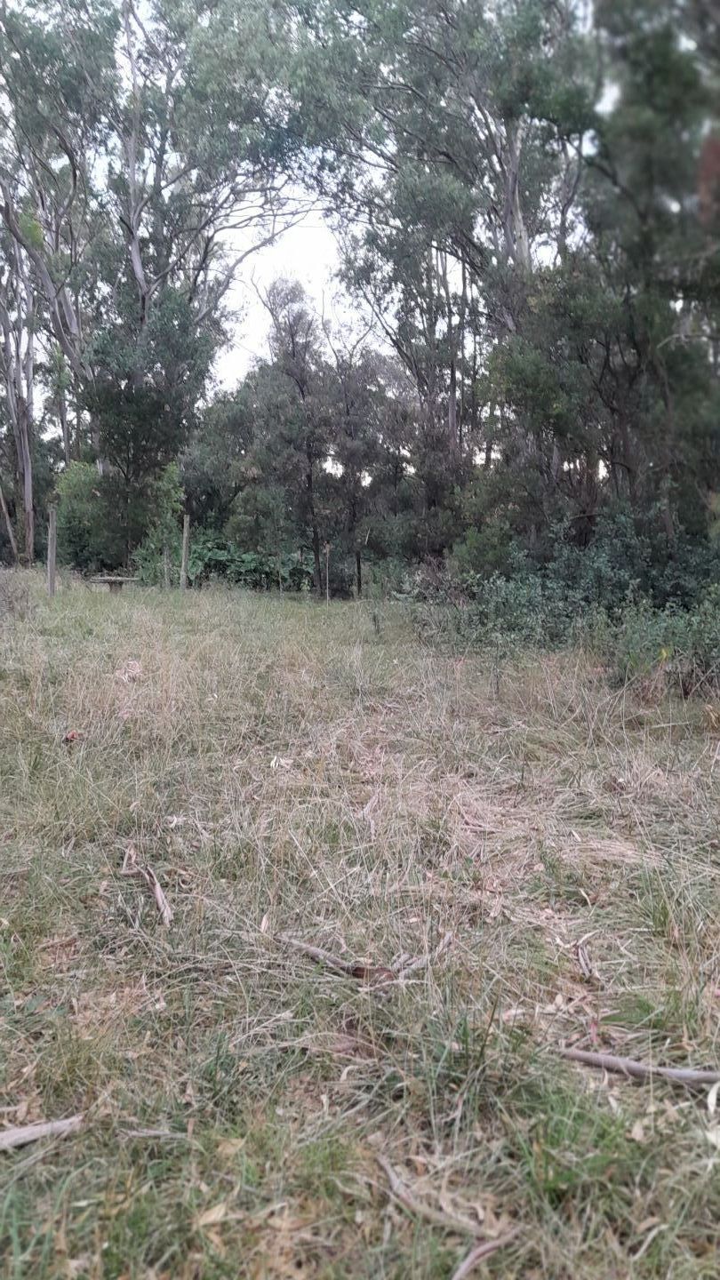 Lote EN VENTA