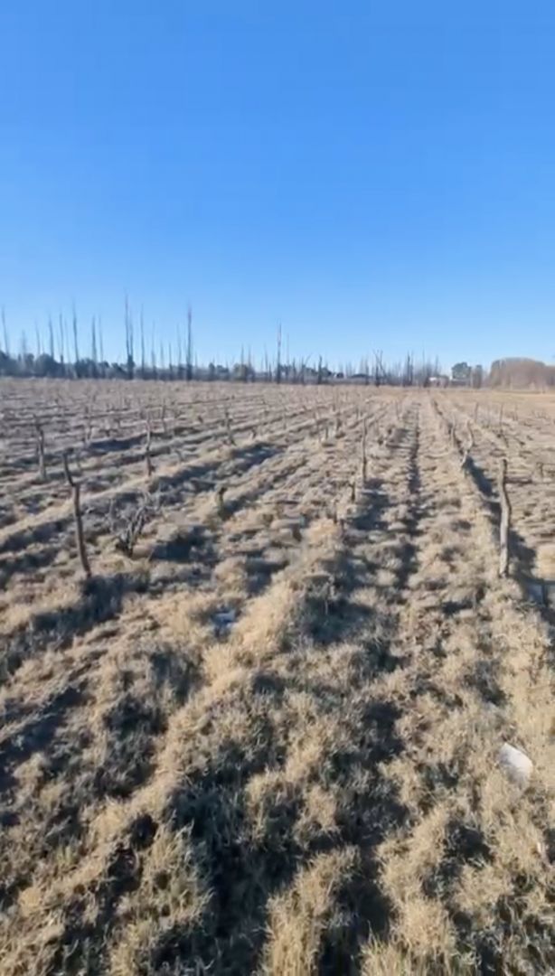Lote en Venta en San Rafael, Mendoza