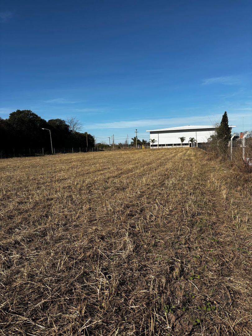 Campo en Venta en Cordoba, Cordoba