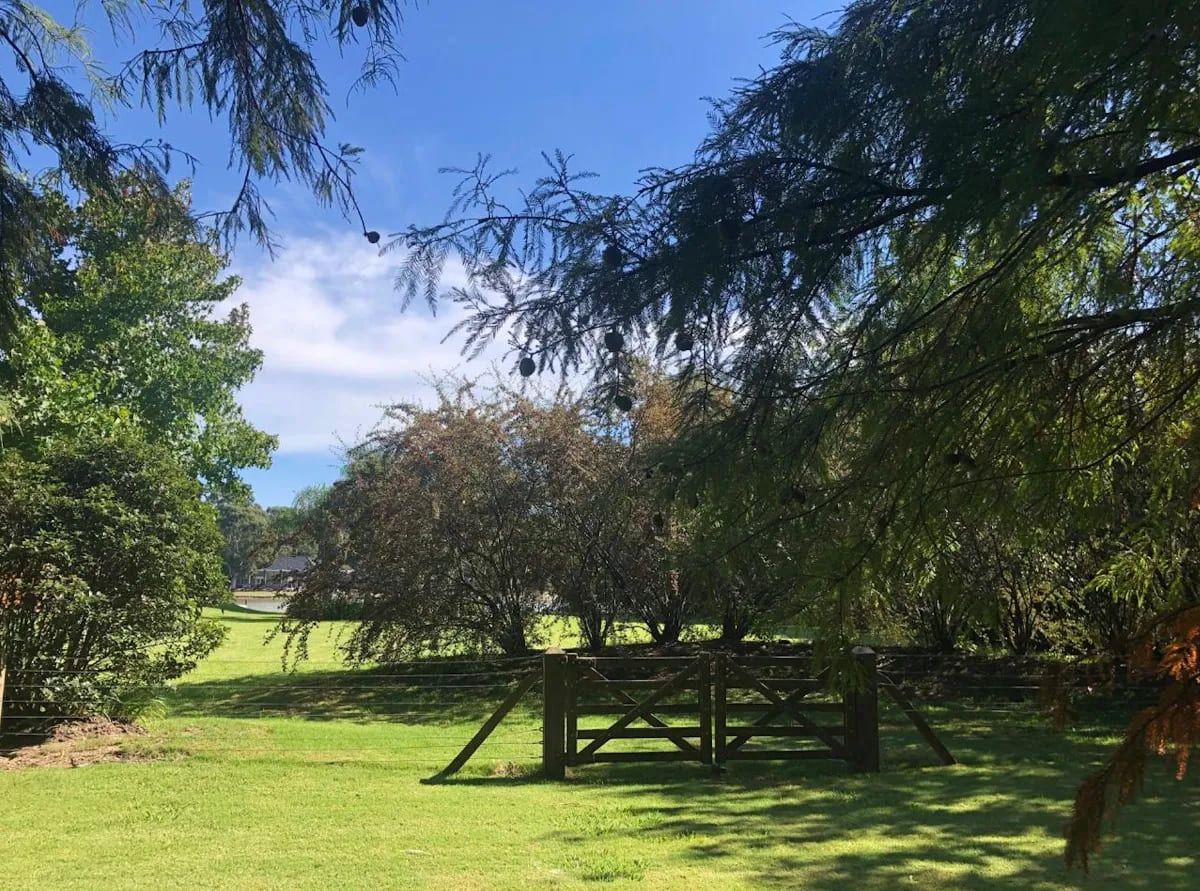 VENTA DE LOTE EN San Vicente - El Lauquen - 8