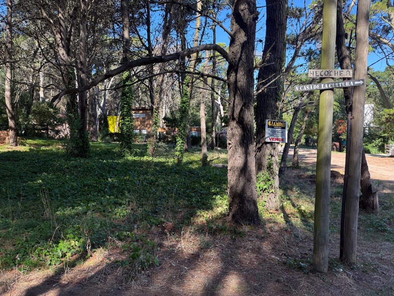 Lote EN VENTA