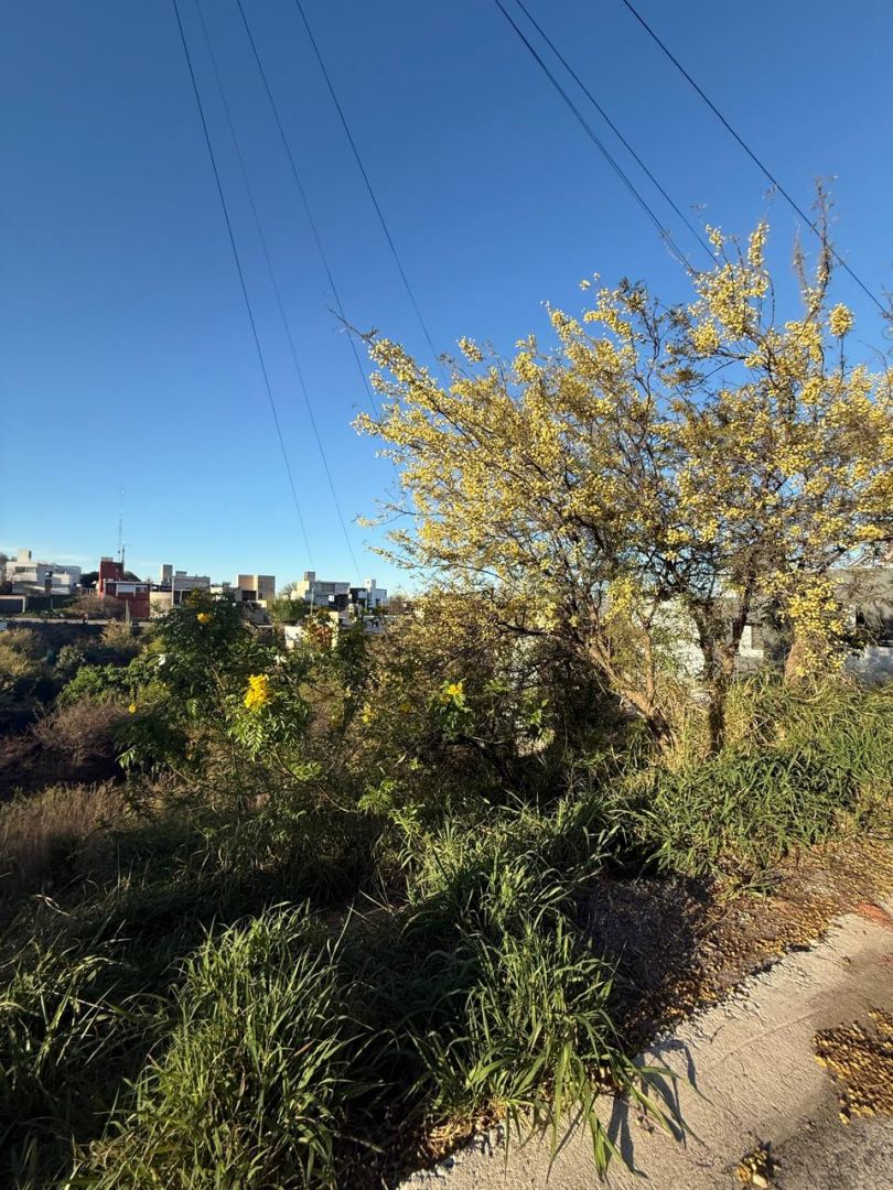 Lote EN VENTA