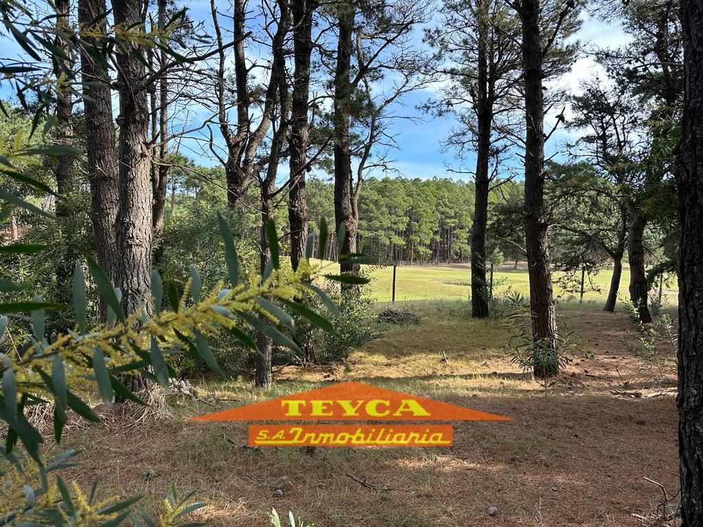 Lote en venta Golf Nuevo 0 ambientes