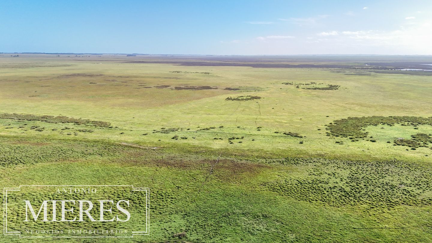 Campo EN VENTA