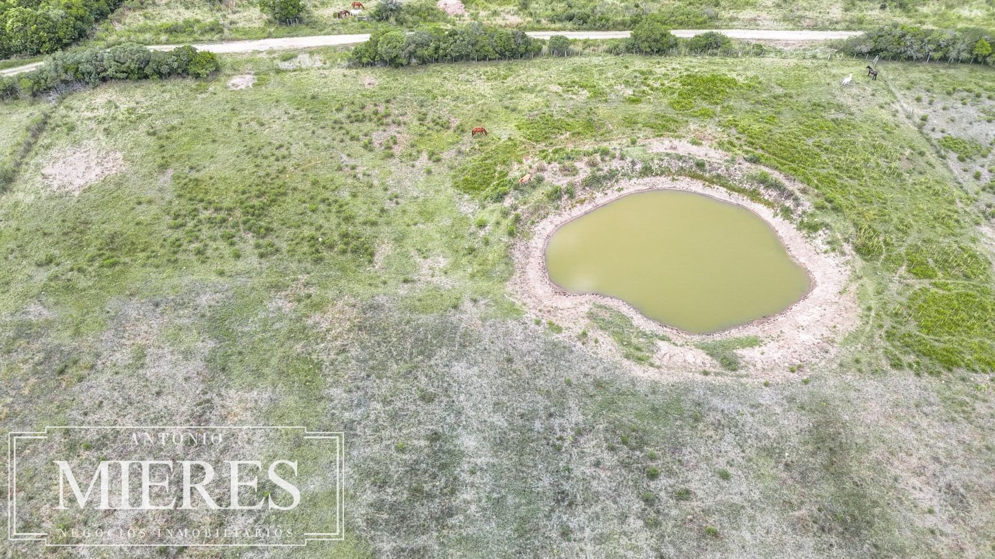 Quinta EN VENTA