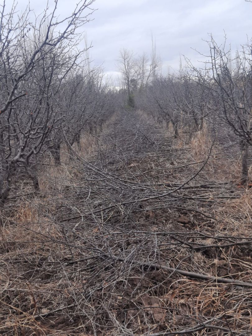 Campo en Venta en Junin, Buenos Aires Interior