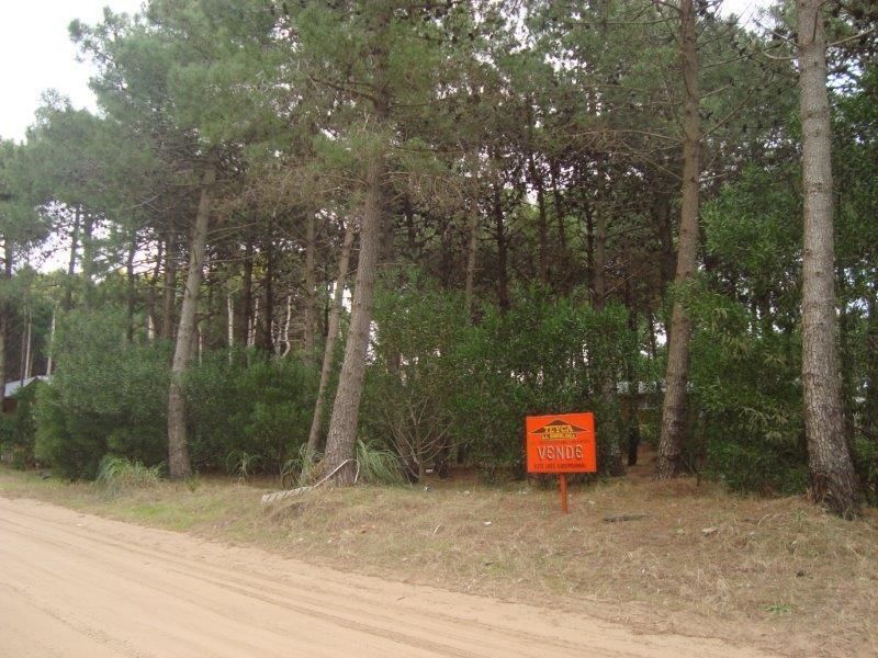 Lote en venta Norte Tennis Ranch 0 ambientes