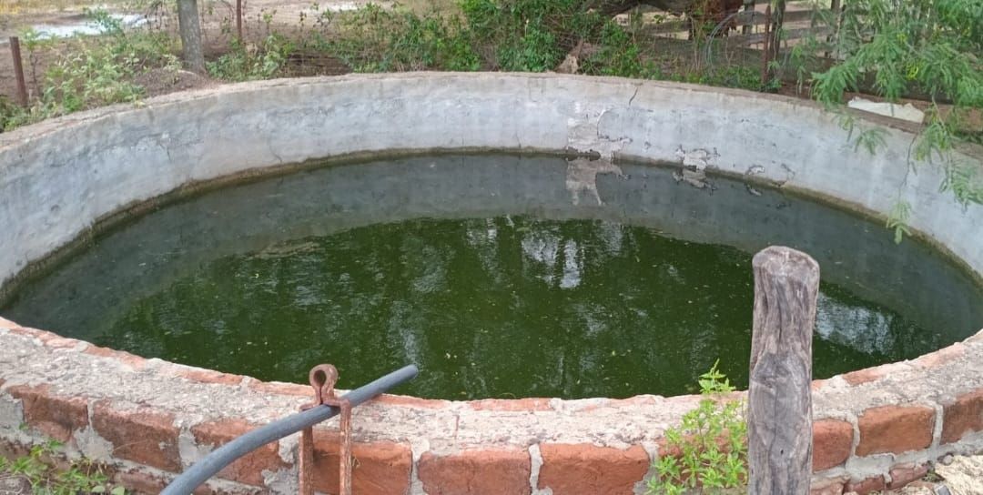 Campo EN VENTA