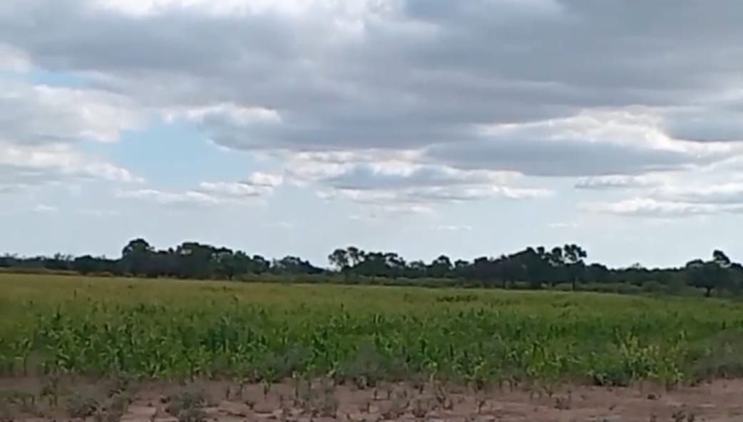 Campo EN VENTA