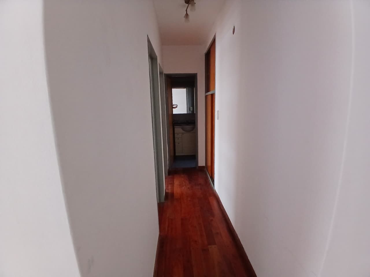 Imagen 9