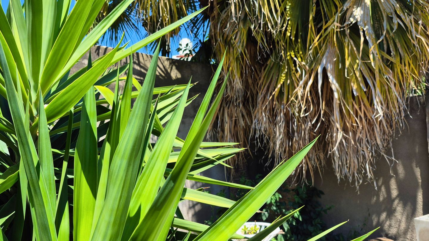 Casa en Venta en General San Martin, G.B.A. Zona Norte